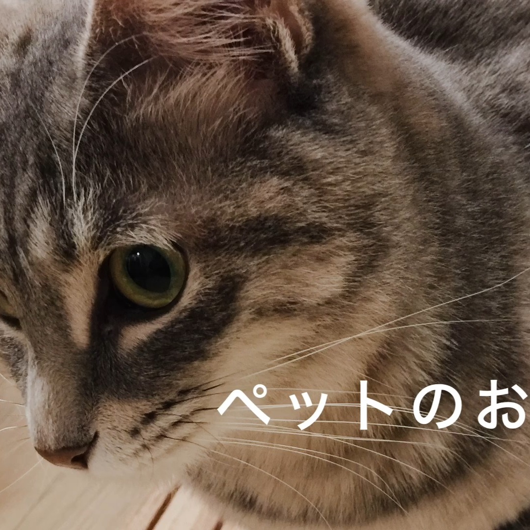 ＊
【ペットのお友だち】

Macの中の写真で創ってくれたもの。
色々思い出すのにはよかった。
我が家のニャンズに
これからもよろしくって伝えたい❤️